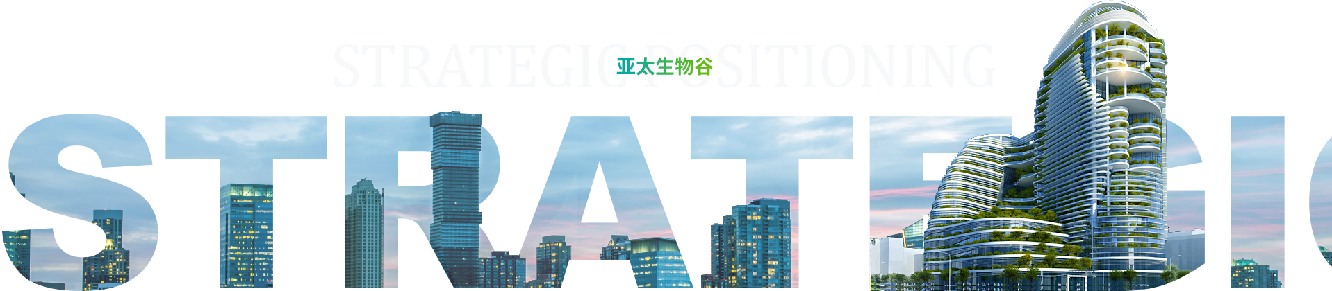 战略定位