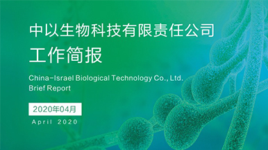 2020年4月份工作简报汇编