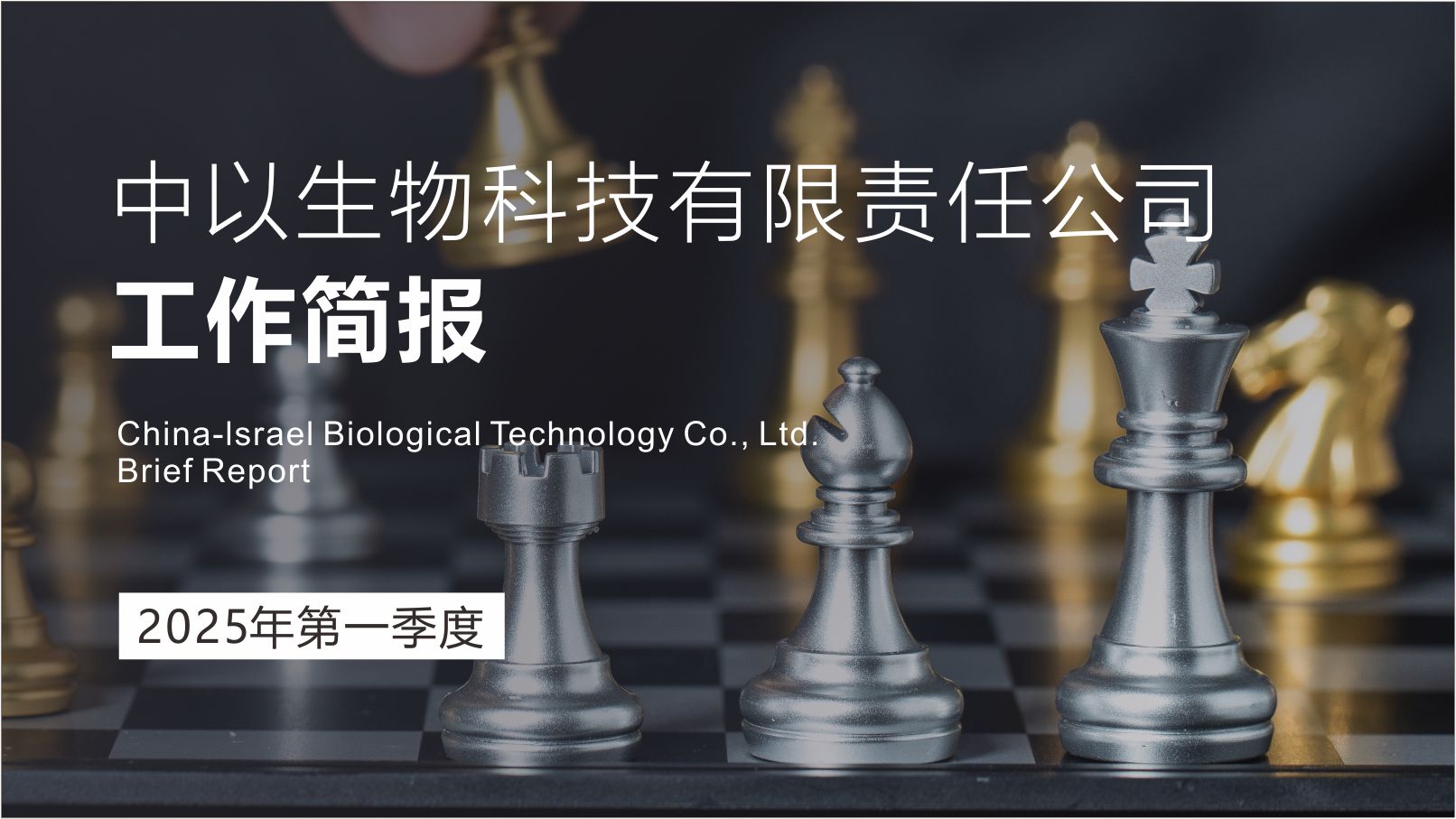2025-简报2025年第一季